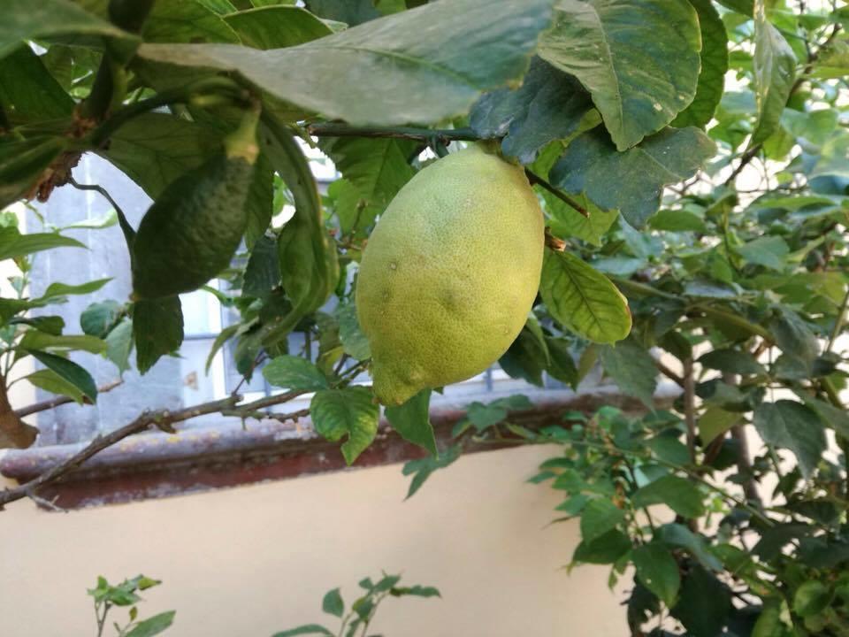 Relais Poschi Alojamento de Acomodação e Pequeno-almoço